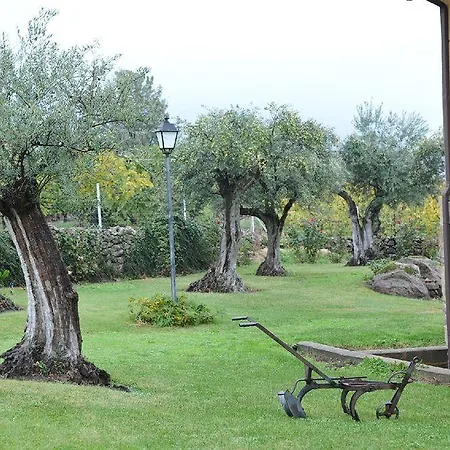 Rural Fontivieja Tr-cc-195 Country house Losar De La Vera