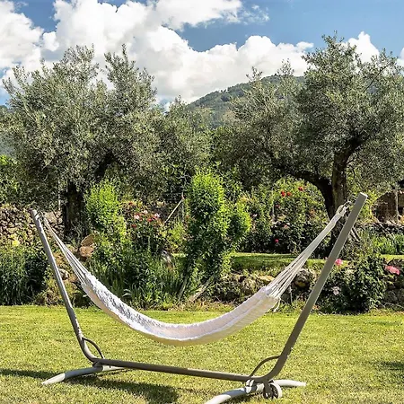 Rural Fontivieja Tr-cc-195 *